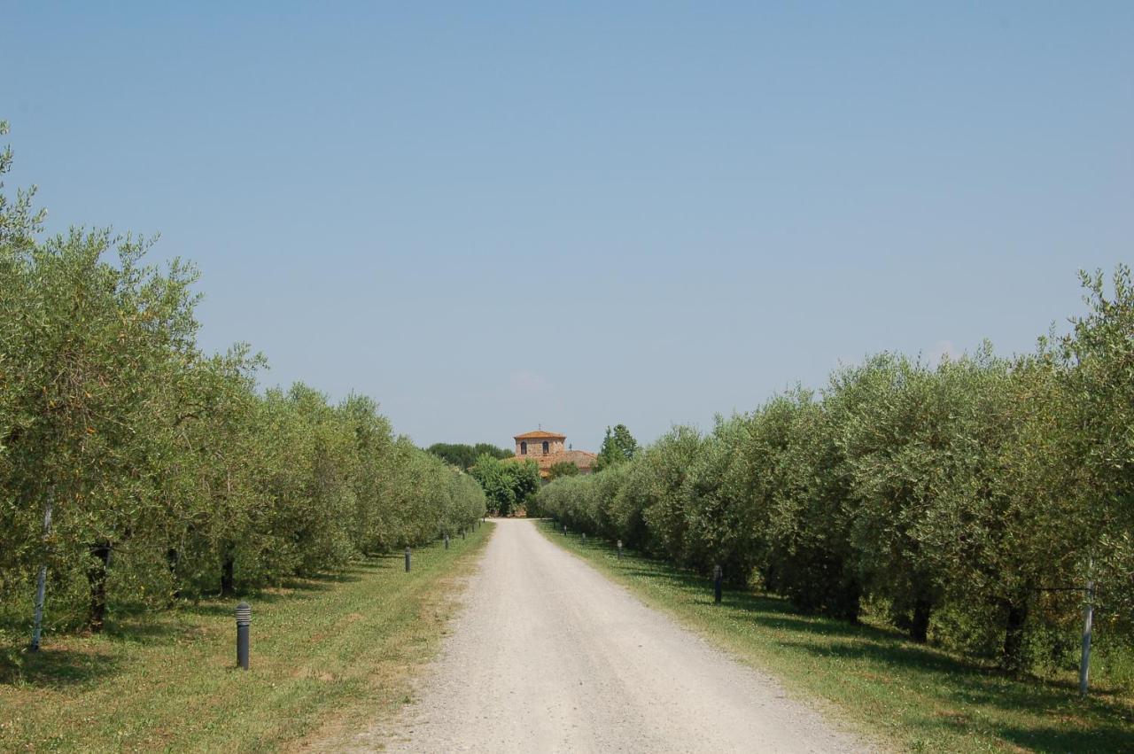 Agriturismo Il Selvino Terricciola Exterior photo